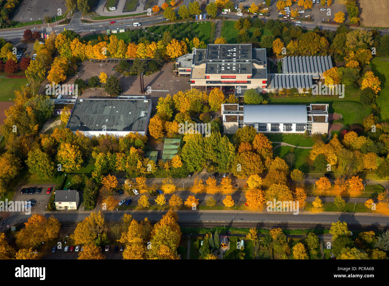 Freiherr-vom-Stein-Gymnasium in caduta delle foglie, Hamm, la zona della Ruhr, Nord Reno-Westfalia, Germania Foto Stock