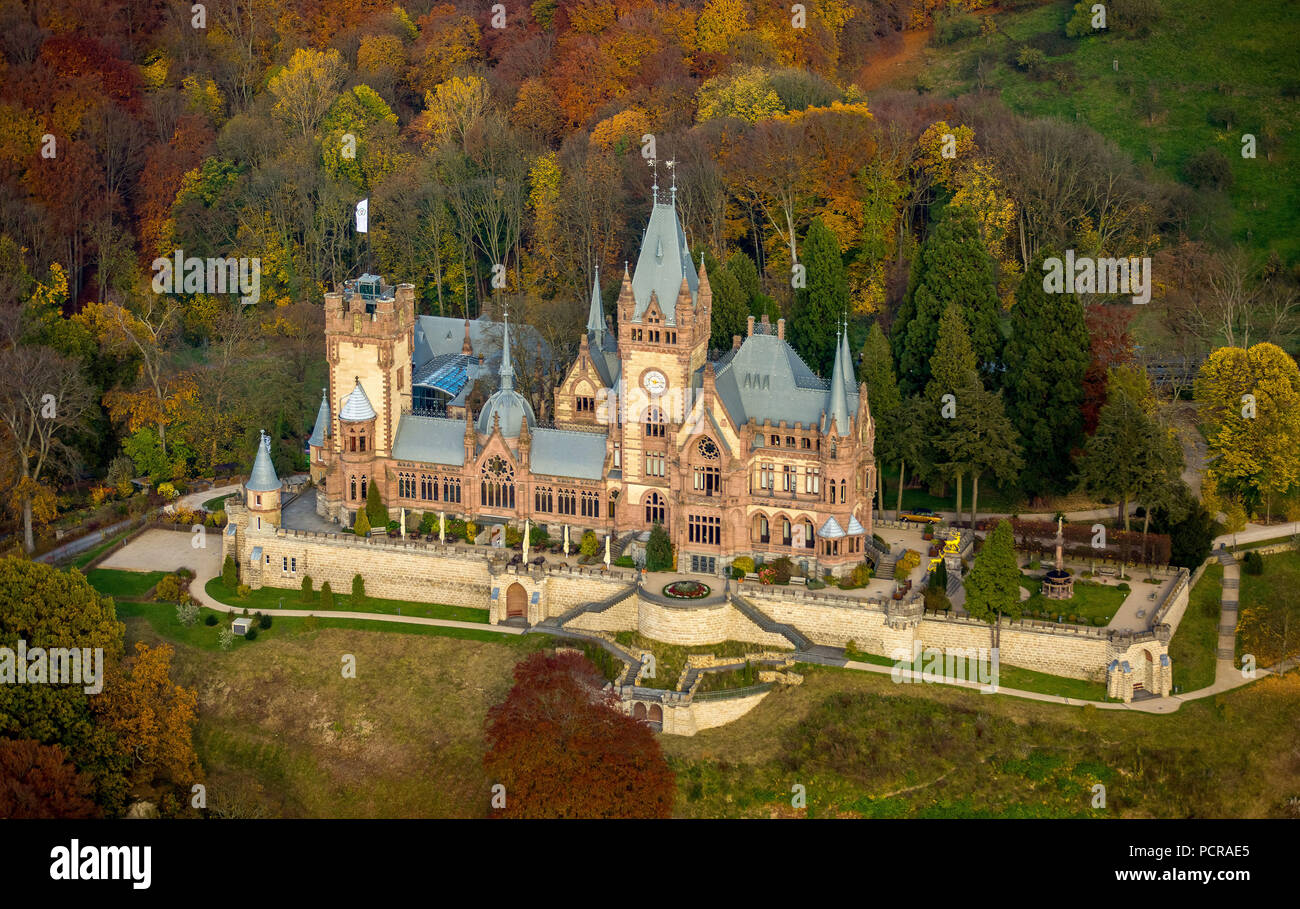 Castello Drachenburg in colorate Foglie di autunno, Valle del Reno, Königswinter, Siebenbirge tra Königswinter e Bad Honnef, foglie di autunno, Nord Reno-Westfalia, Germania Foto Stock