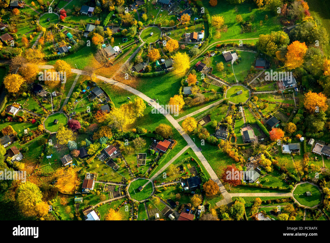 Assegnazioni circolare sul Heuweg, parcellizzazione in un cerchio, assegnazioni in caduta delle foglie, Witten-Stockum, Witten, zona della Ruhr, Nord Reno-Westfalia, Germania Foto Stock