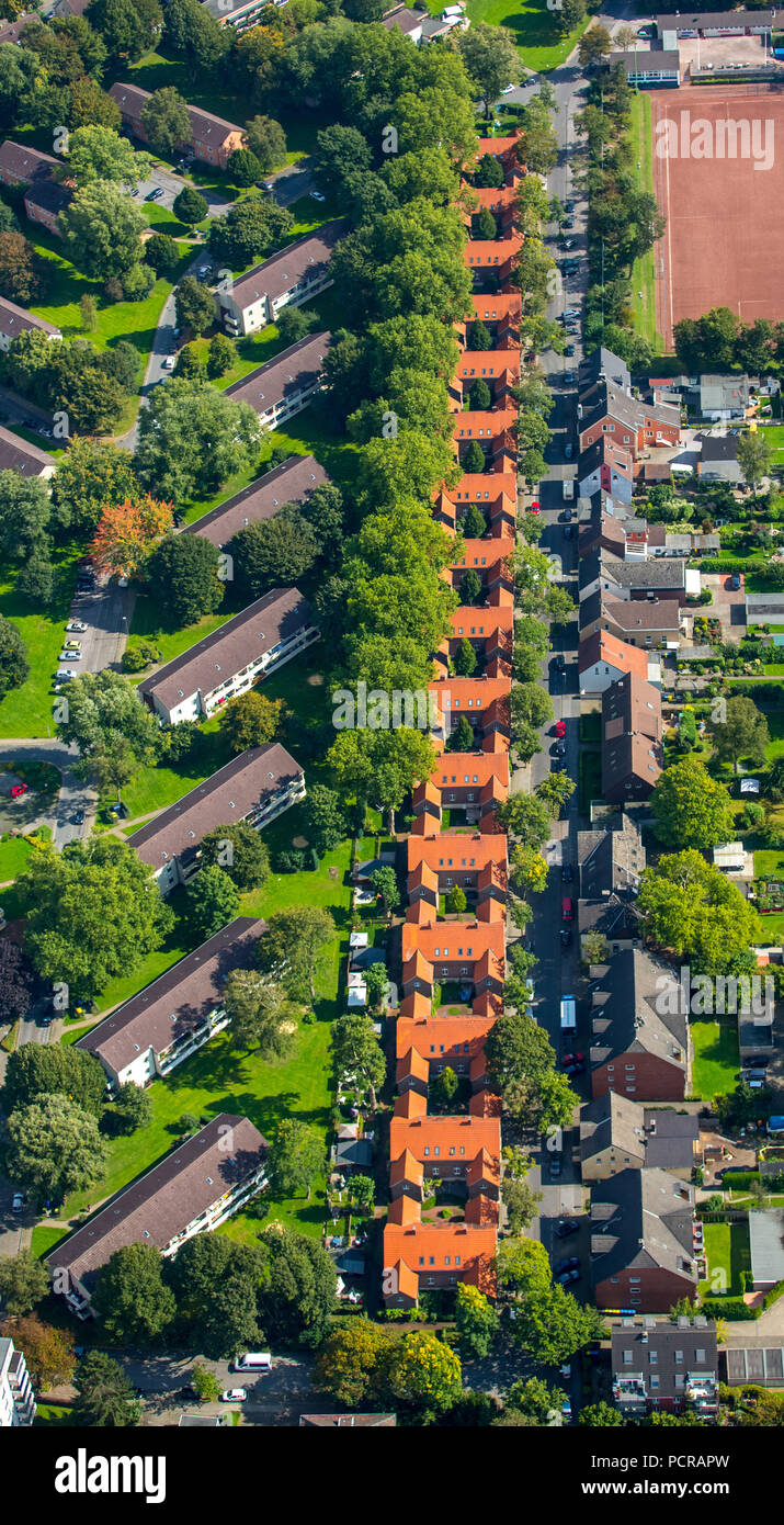 Insediamento minerario all'Hugostraße, edifici di miniera, minatori' insediamento, Gelsenkirchen-Buer, Gelsenkirchen, zona della Ruhr, Nord Reno-Westfalia, Germania Foto Stock