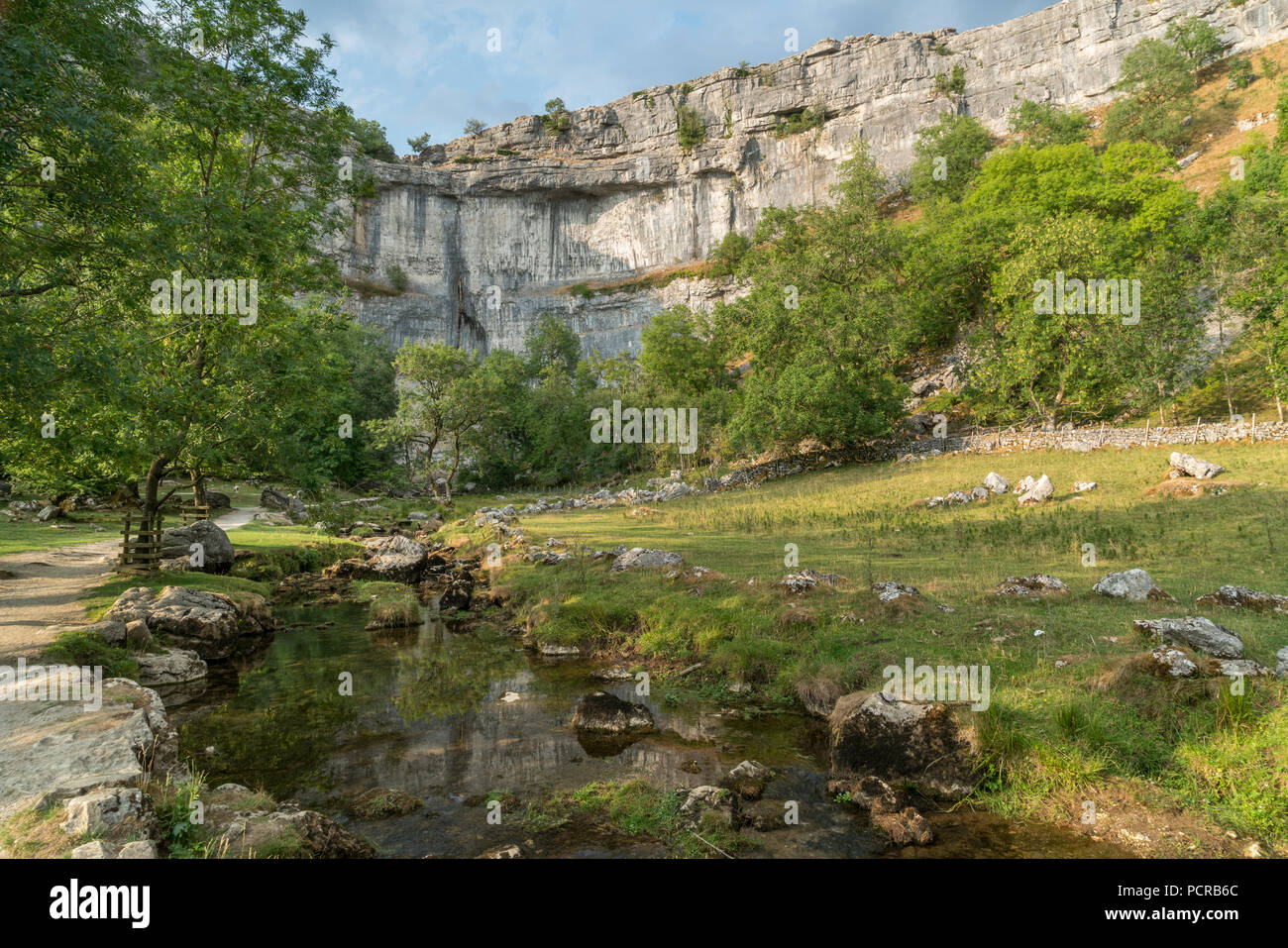 Vista della campagna intorno a Malham Cove nel Yorkshire Dales National Park Foto Stock