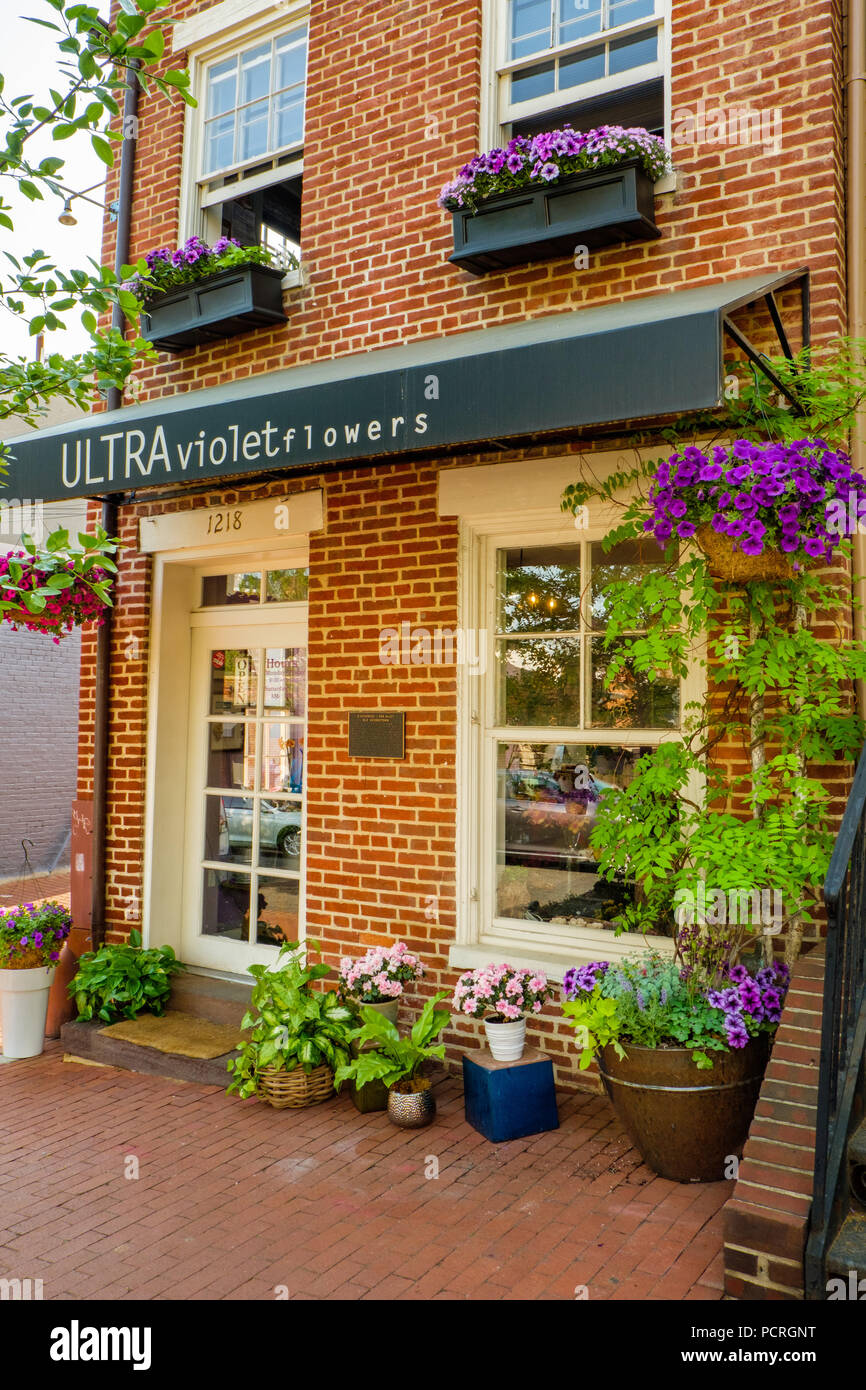 Ultra fiori viola, 1218 31st Street NW, Georgetown, Washington DC Foto Stock