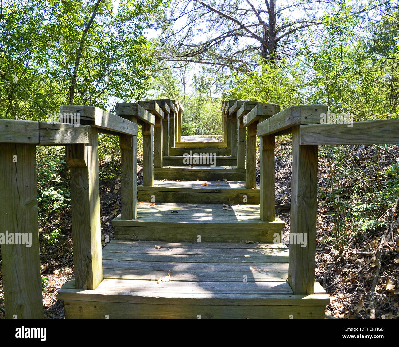 Scale di legno su un sentiero di Richard Carter Park e homestead sito in College Station, Texas, Stati Uniti. Foto Stock