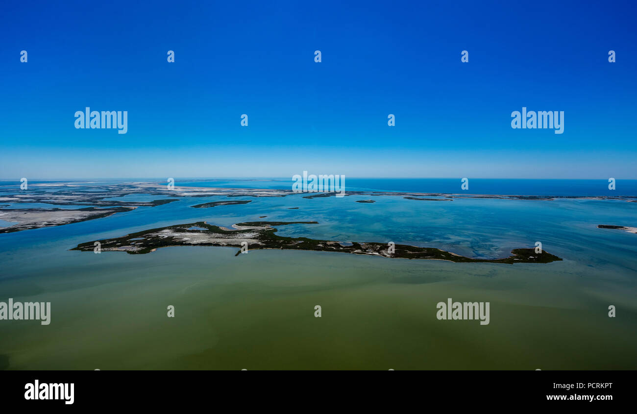 Camargue, basso fondale isola in Camargue, Saintes-Maries-de-la-Mer, Bouches-du-Rhône, regione Provenza-Alpi-Costa Azzurra, Francia Foto Stock