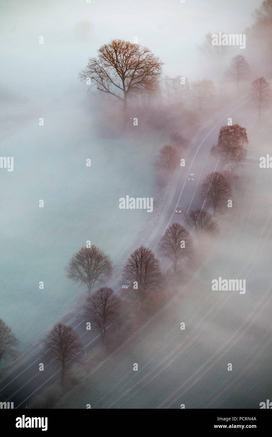 Nebbia di mattina su Lippepe, Lippe marsh, alba Hamm, vista aerea di Hamm, la zona della Ruhr Foto Stock