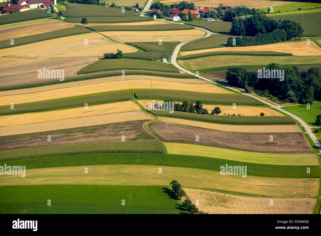 Vista aerea, dell'agricoltura, dell'agricoltura, i campi e i prati e i boschi delle colline ai piedi delle Alpi vicino a Linz, Wendling bei Haag, Austria superiore, Austria Foto Stock