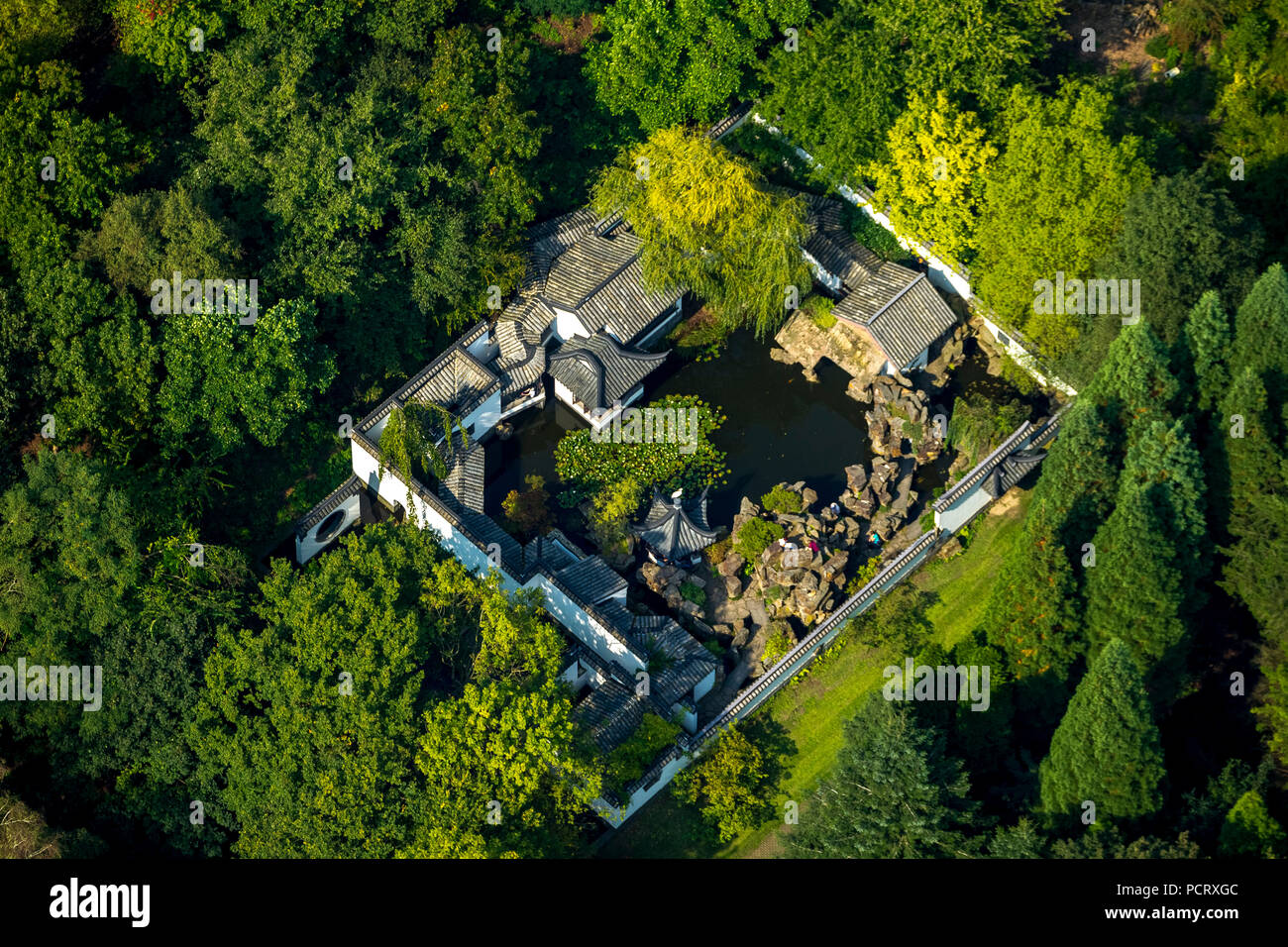 Giardino Cinese nel Giardino Botanico del RUB, Università della Ruhr di Bochum, Bochum, la zona della Ruhr, Nord Reno-Westfalia, Germania Foto Stock
