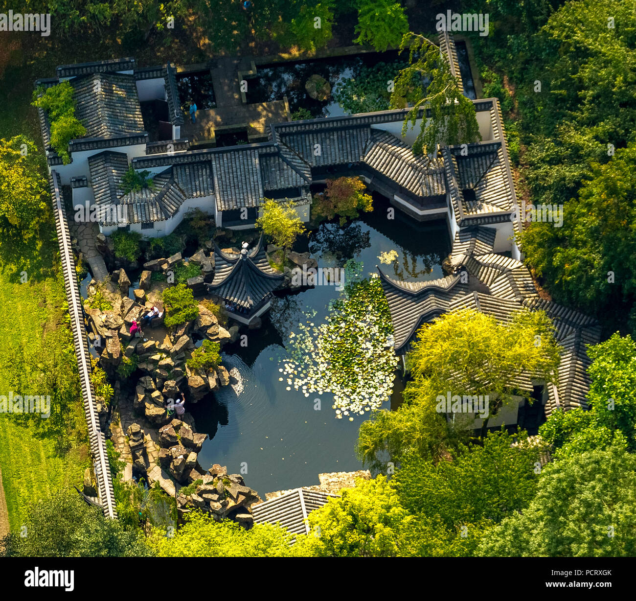 Giardino Cinese nel Giardino Botanico del RUB, Università della Ruhr di Bochum, Bochum, la zona della Ruhr, Nord Reno-Westfalia, Germania Foto Stock