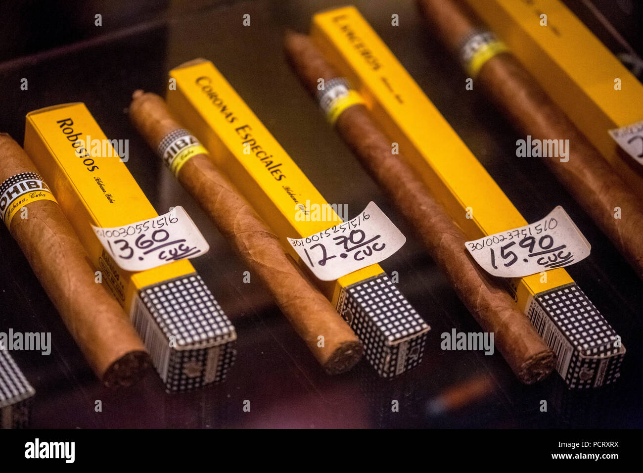 Sigari Cohiba in vendita al minuto in confezioni singole, sigari cubani in negozio di un sigaro concessionario, La Habana, Cuba, Caraibi, America centrale, La Habana, Cuba Foto Stock