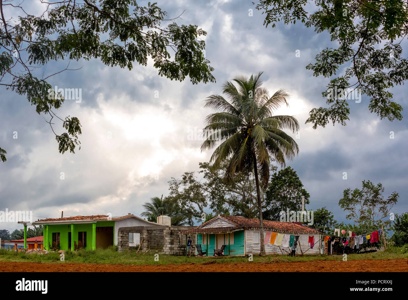 Ordinaria case cubane in campagna, il Vinales Valley, Viñales, Cuba, Pinar del Río, Cuba Foto Stock