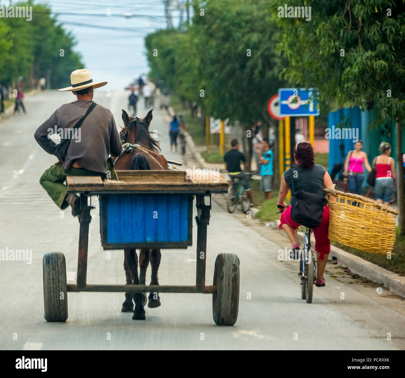 Una carrozza a cavallo sulla strada visto da dietro i cubani con grande cappello, Viñales, Cuba, Pinar del Río, Cuba Foto Stock