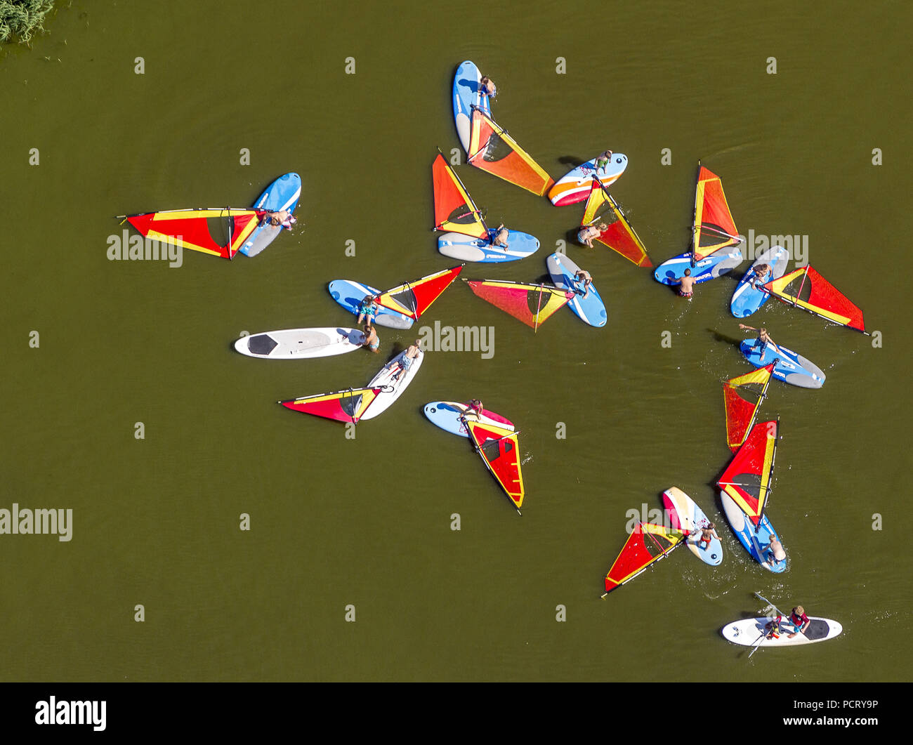 Foto aerea, tavole da surf, scuola di windsurf, Lembruch, Lago di Dümmer, Nord tedesco Plain, fiume Hunte, Hude (Oldenburg), Bassa Sassonia, Germania, Europa Foto Stock