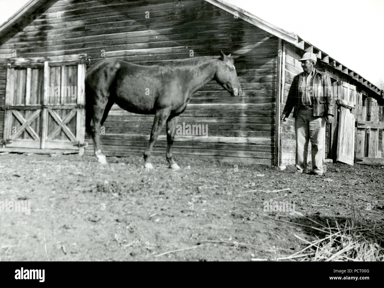 Uomo e cavallo nella parte anteriore del granaio 1947-1950 ca Foto Stock