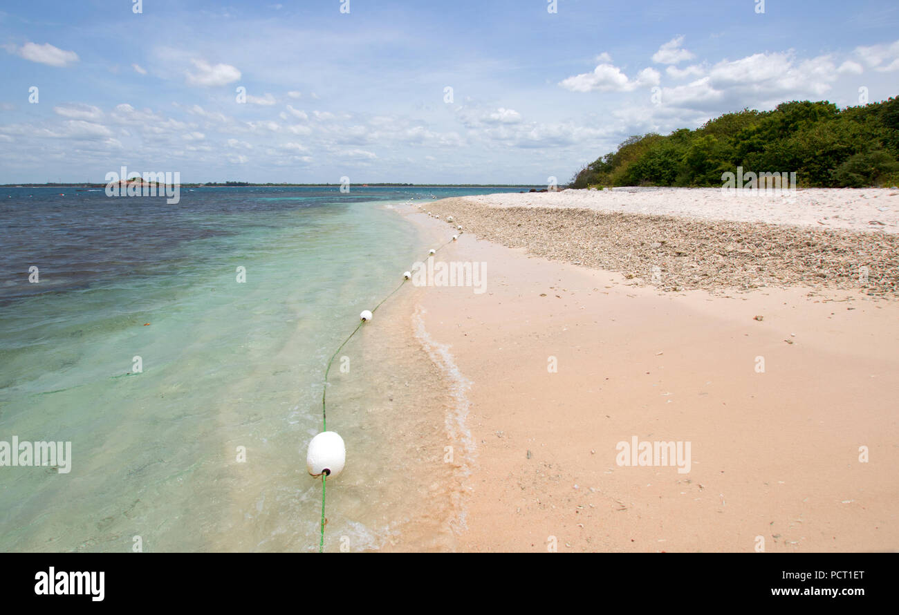 Coral Beach su Pigeon Island National Park appena al largo della costa di Trincomalee Sri Lanka asia Foto Stock