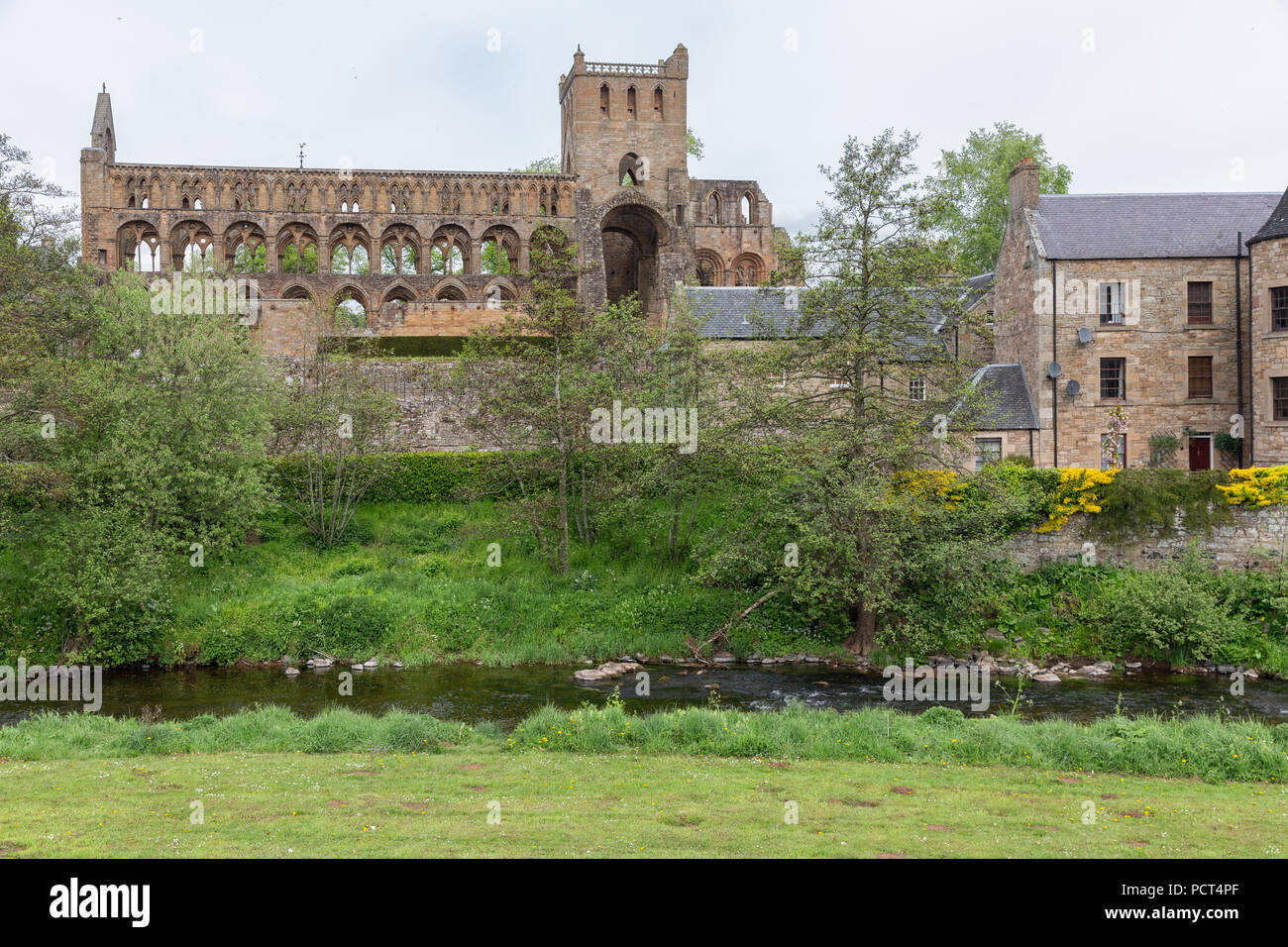 Vista in rovine di Jedburgh Abbey a Scottish Borders. Foto Stock