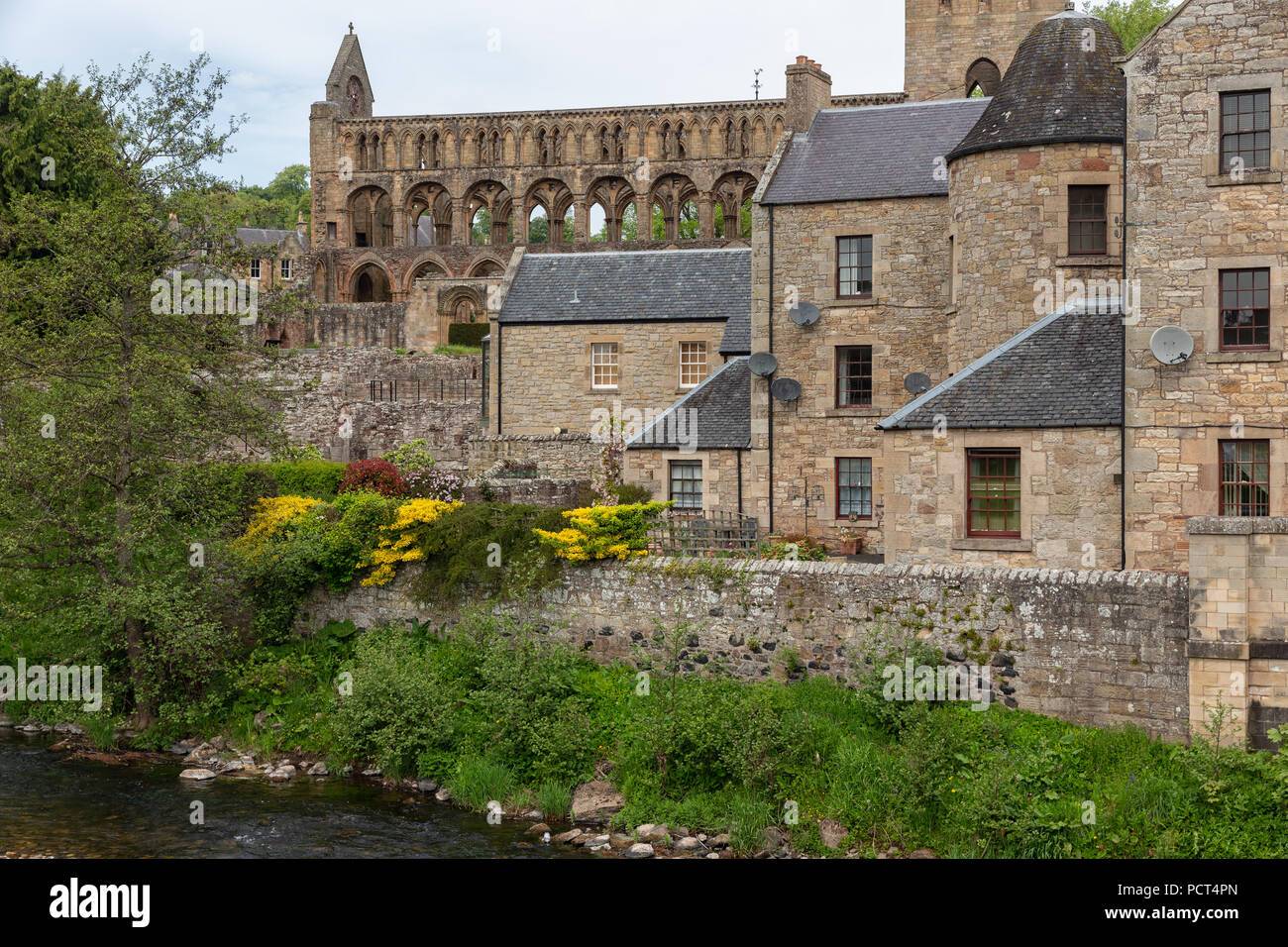 Vista in rovine di Jedburgh Abbey a Scottish Borders. Foto Stock