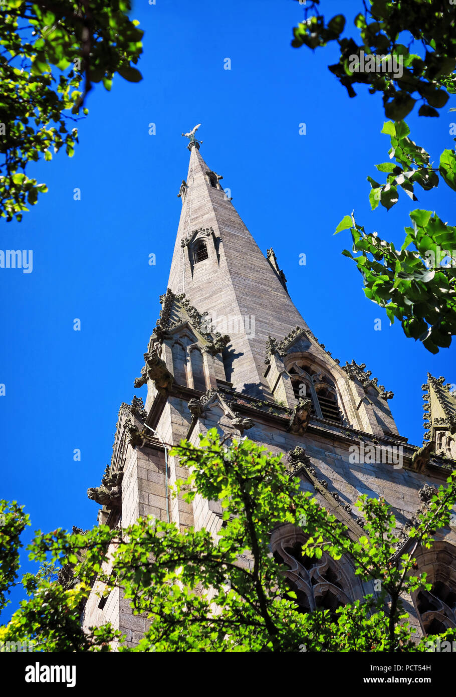 Guardando attraverso il fogliame nelle vicinanze presso il campanile della chiesa di San Giovanni Evangelista, Preston Foto Stock