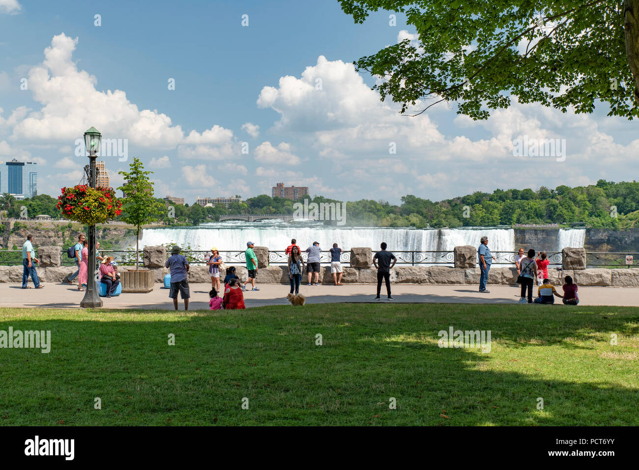 Niagara Falls, NY, STATI UNITI D'AMERICA. Parte superiore della American e Bridal Veil Falls in estate come visto da un lato canadese lookout. Foto Stock