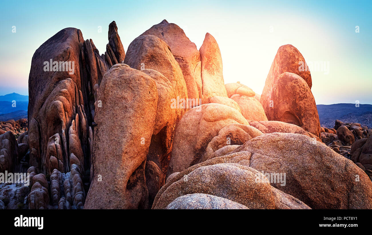 Le formazioni rocciose a Joshua Tree National Park al tramonto, California, Stati Uniti d'America. Foto Stock