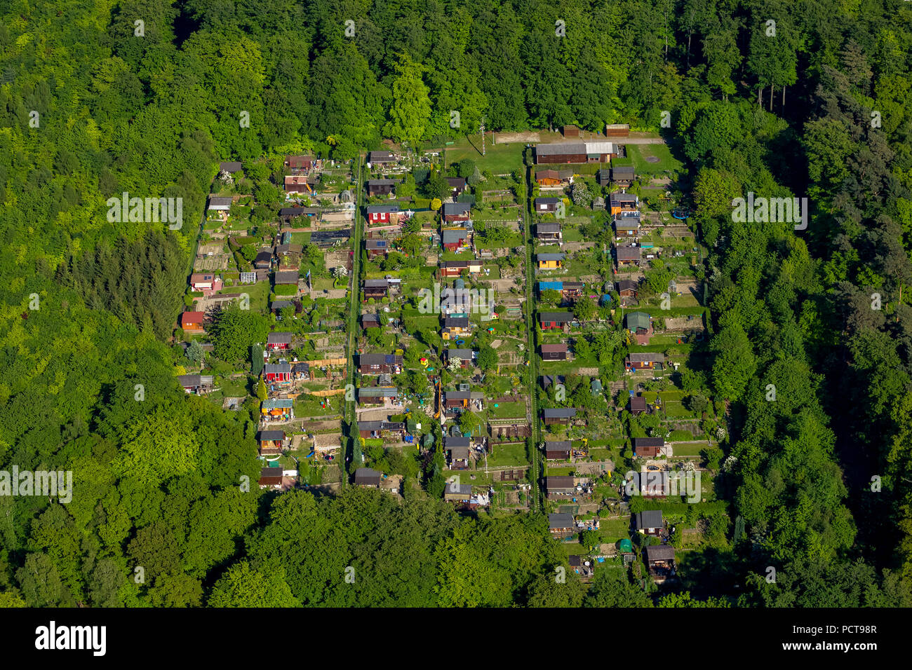 Riparto-area giardino sulla montagna Wetterberg, Wetter sul fiume Ruhr, la zona della Ruhr Foto Stock