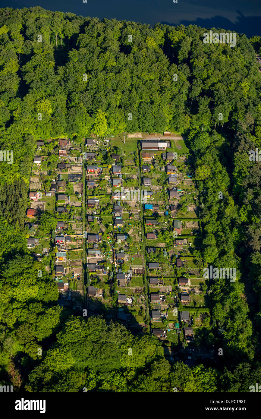 Riparto-area giardino sulla montagna Wetterberg, Wetter sul fiume Ruhr, la zona della Ruhr Foto Stock