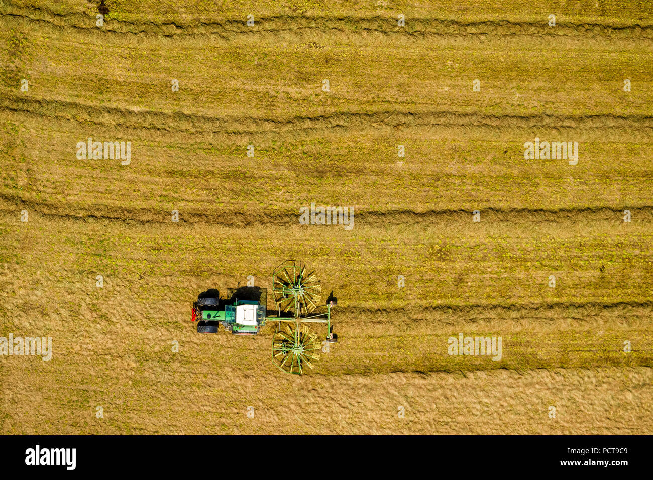 Trattore con twin rotary rastrello da fieno e le andane di paglia su un campo di raccolto, il raccolto di grano, Sprockhövel, la zona della Ruhr, Nord Reno-Westfalia, Germania Foto Stock