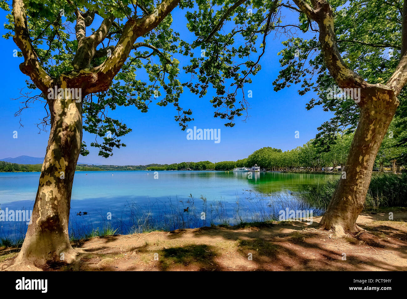 Il lago di Banyoles, Estany de Banyoles, vista tra due platani, fotografia HDR di Banyoles, Catalogna, Spagna Foto Stock