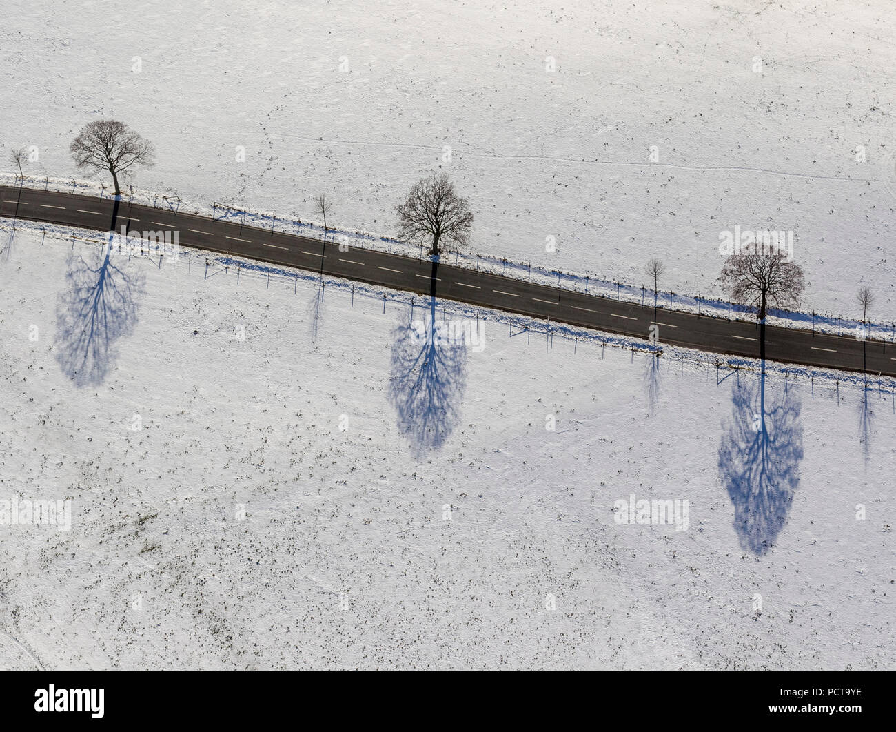 Cancellato country road tra Bad Fredeburg e Eslohe, inverno, alberi con ombre, vista aerea di Schmallenberg, Sauerland Foto Stock