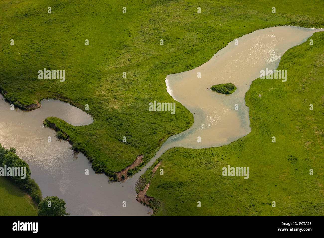 Prato umido nei meandri del fiume Lippe, risanamento ecologico, Hamm, la zona della Ruhr, Nord Reno-Westfalia, Germania Foto Stock