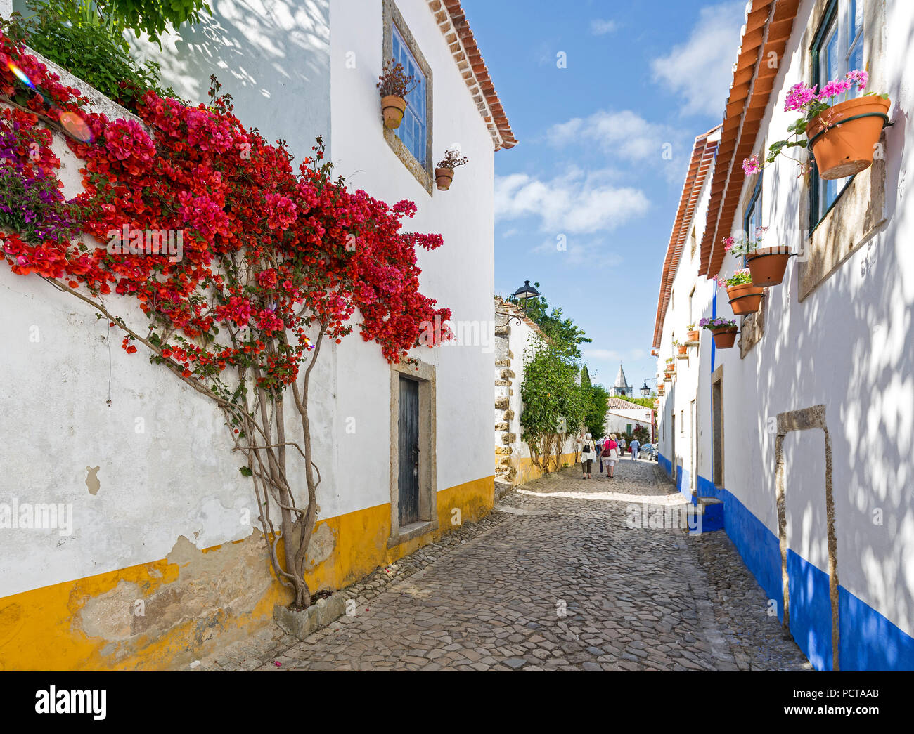 Pittoresche facciate con primule e vasi di fiori e pittoresca cittadina di Obidos, Óbidos, distretto di Leiria, Portogallo, Europa Foto Stock