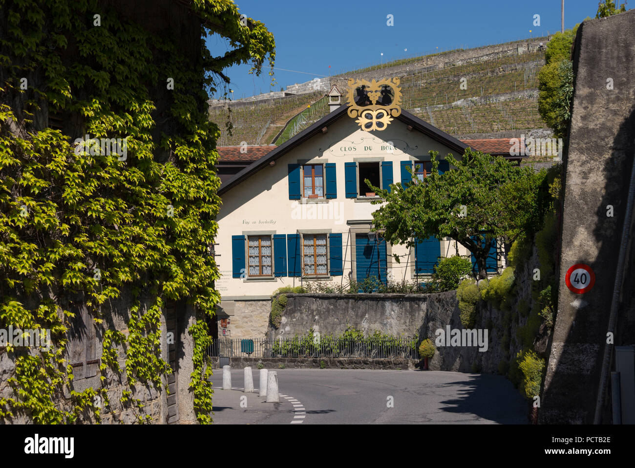 Domaine Clos du Boux tenuta vicino a Epesses a Lavaux, nei pressi di Losanna, nel cantone di Vaud, Svizzera Occidentale, Svizzera Foto Stock