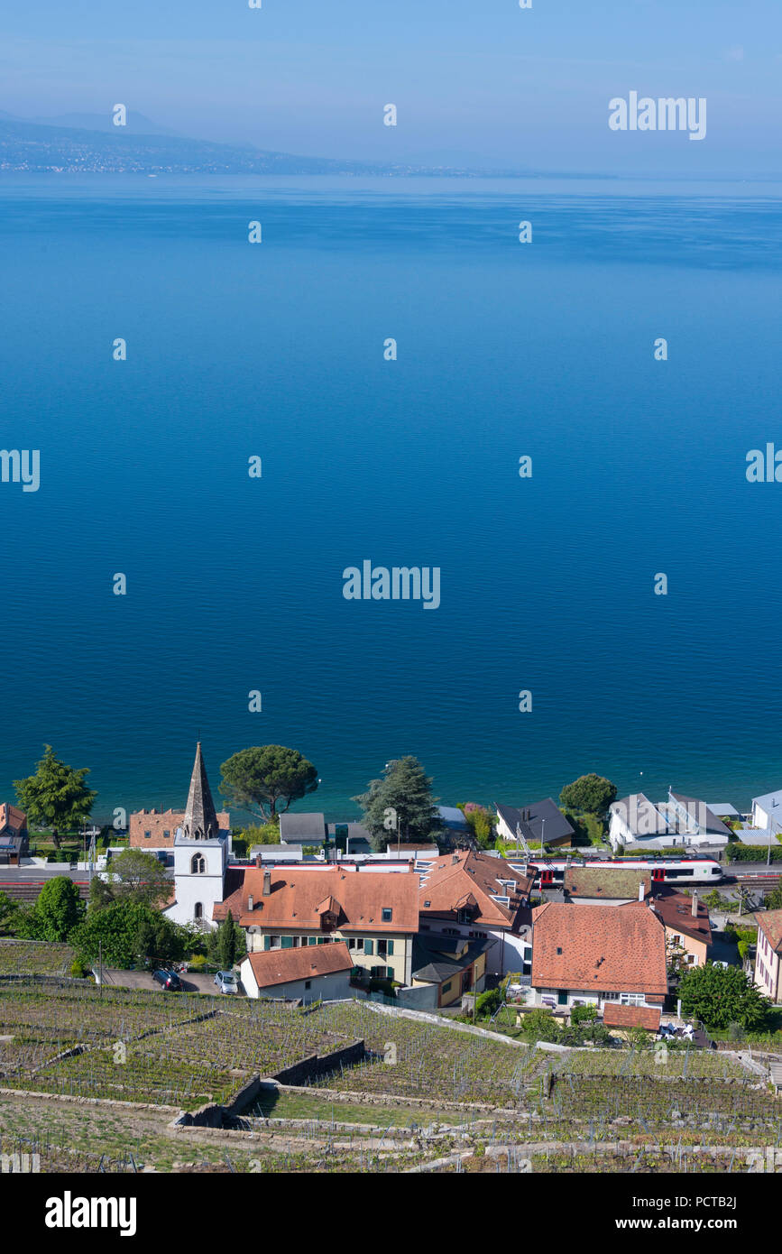 Il vino le terrazze sul lago di Ginevra e il villaggio del vino della Villette, Bourg-en-Lavaux a Lavaux, nei pressi di Losanna, nel cantone di Vaud, Svizzera Occidentale, Svizzera Foto Stock