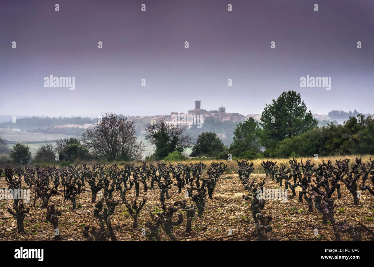 Vigneto e Villespassans village in inverno la nebbia Foto Stock