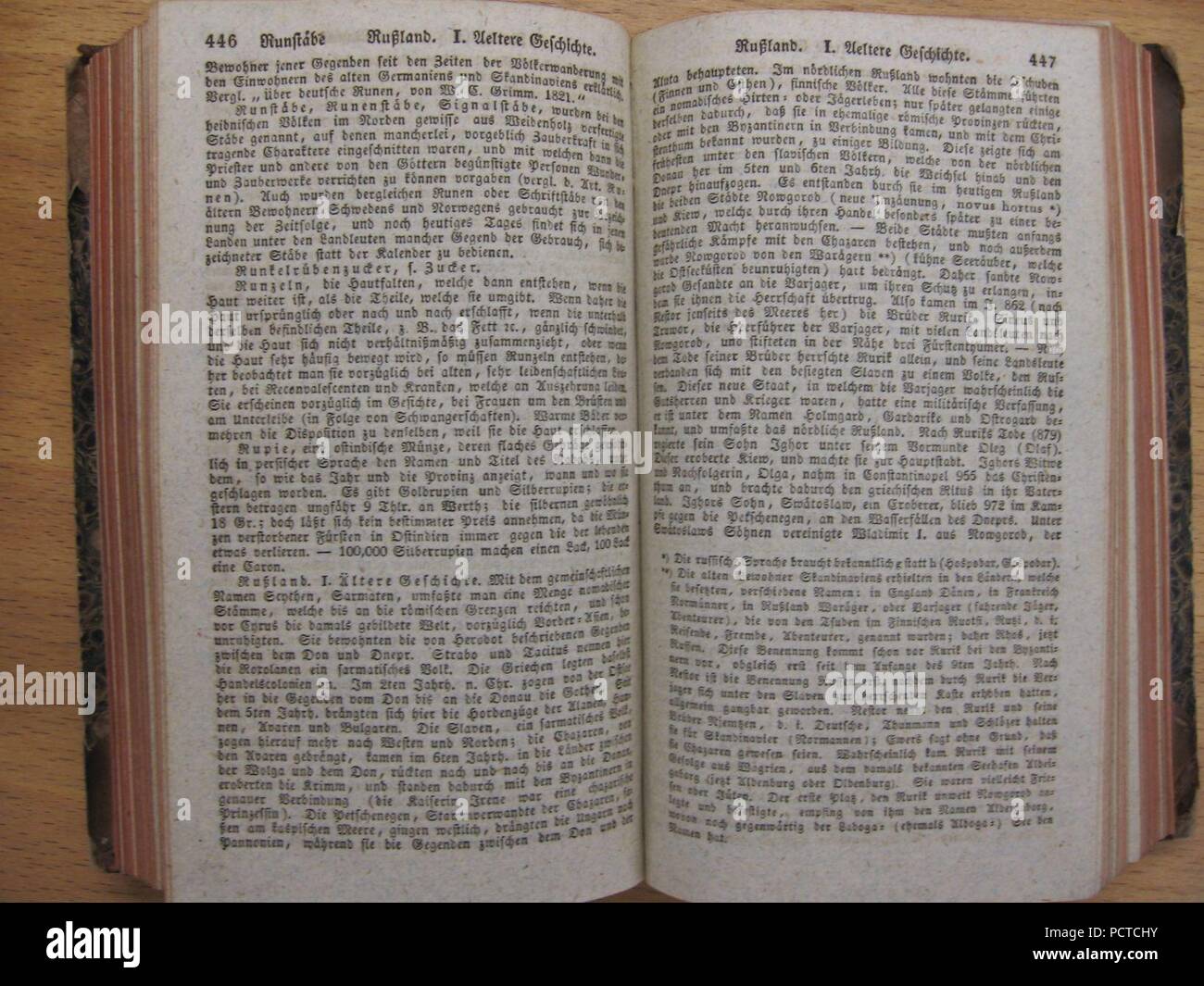 Allgemeine deutsche Real-Enzyklopädie für die gebildeten Stände (1824) - S 446-447. Foto Stock