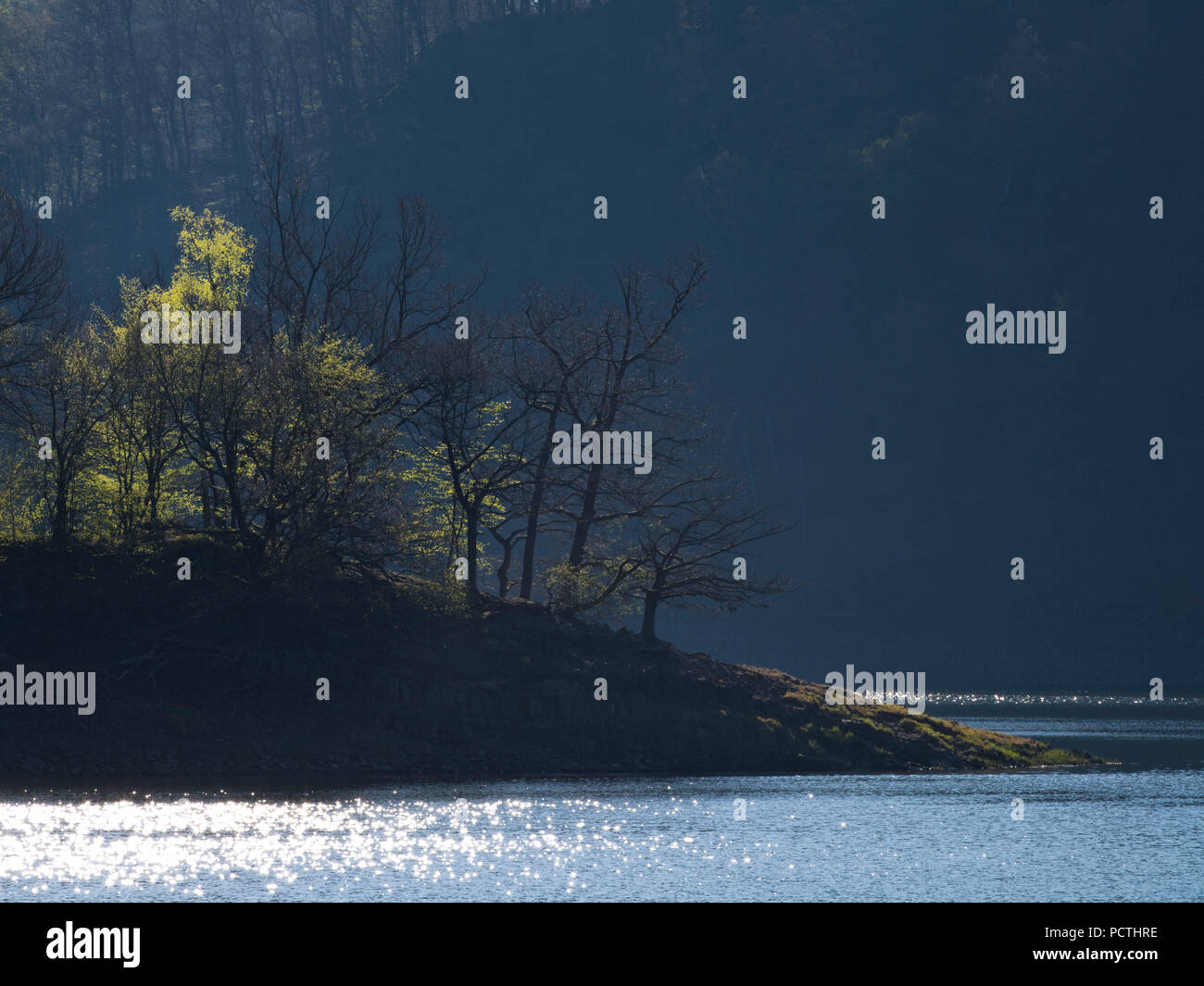 Germania, Hesse, Vöhl, la natura e il parco nazionale di Kellerwald-Edersee, faggi e querce sulla capezzagna a Lindenberg, primordiale sentiero forestale Foto Stock