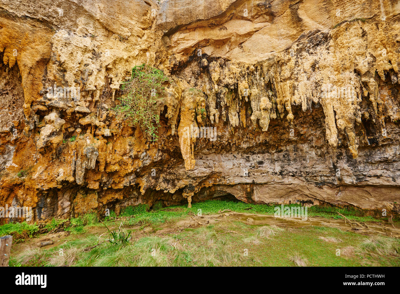 Grotta sul retro del Loch Ard Gorge, Great Ocean Road, Parco Nazionale di Port Campbell, Victoria, Australia, Oceania Foto Stock