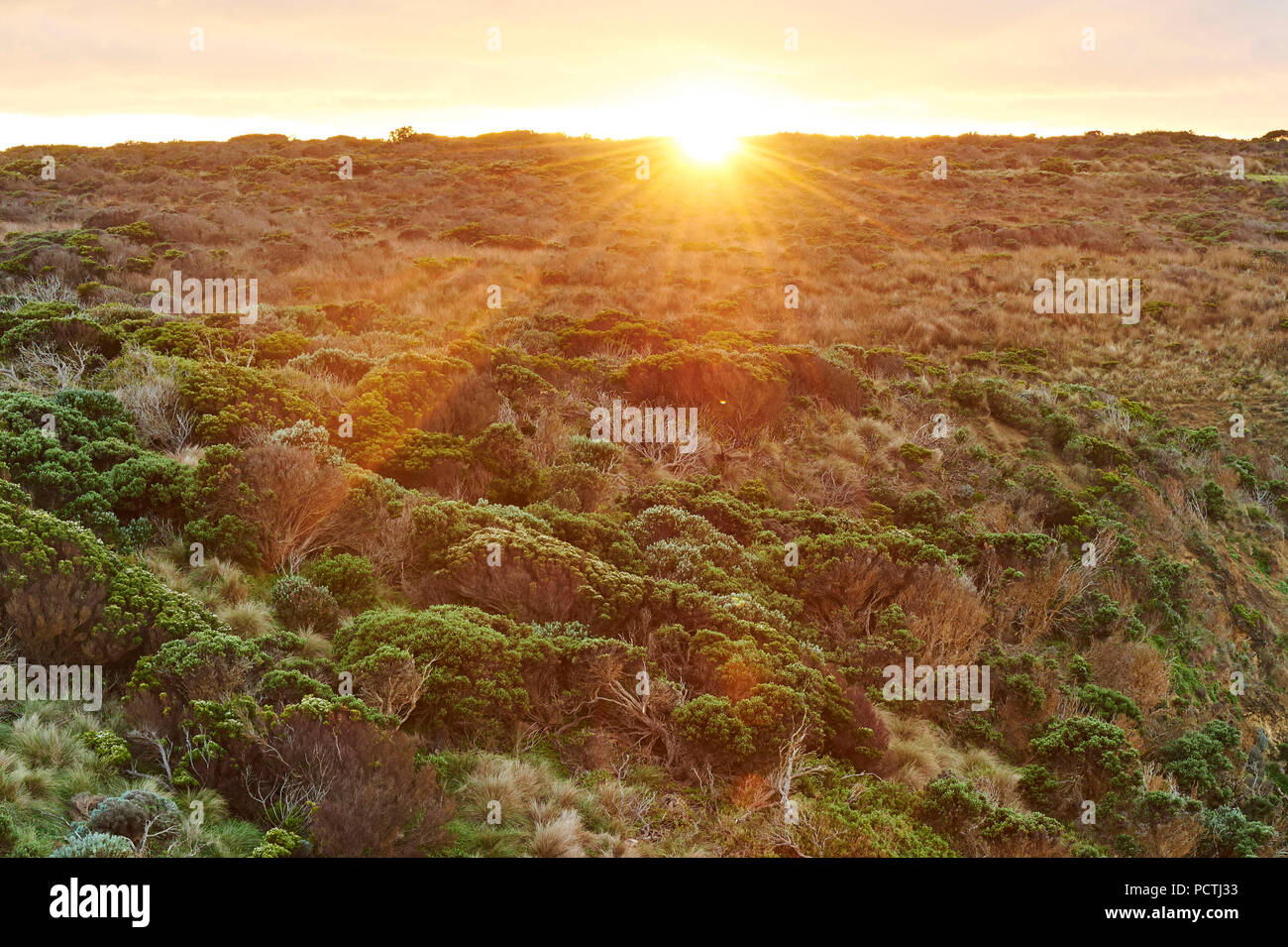 Sunrise a dodici apostoli, Great Ocean Road, Parco Nazionale di Port Campbell, Victoria, Australia, Oceania Foto Stock