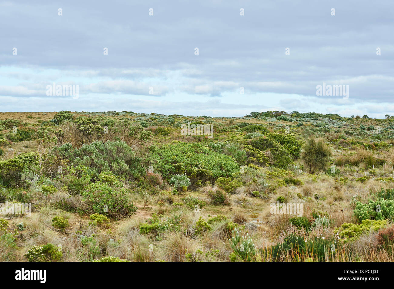 Paesaggio di Blowhole a Loch Ard Gorge, Great Ocean Road, Parco Nazionale di Port Campbell, Victoria, Australia, Oceania Foto Stock