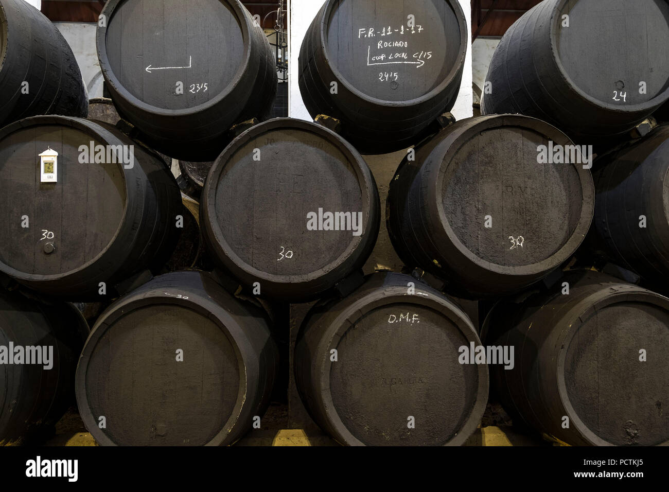 La Delgado cantine hanno esisteva sin dal 1874 nella città andalusa di Puente Genil. Produce vini dolci, alcuni dei migliori in Spagna Foto Stock