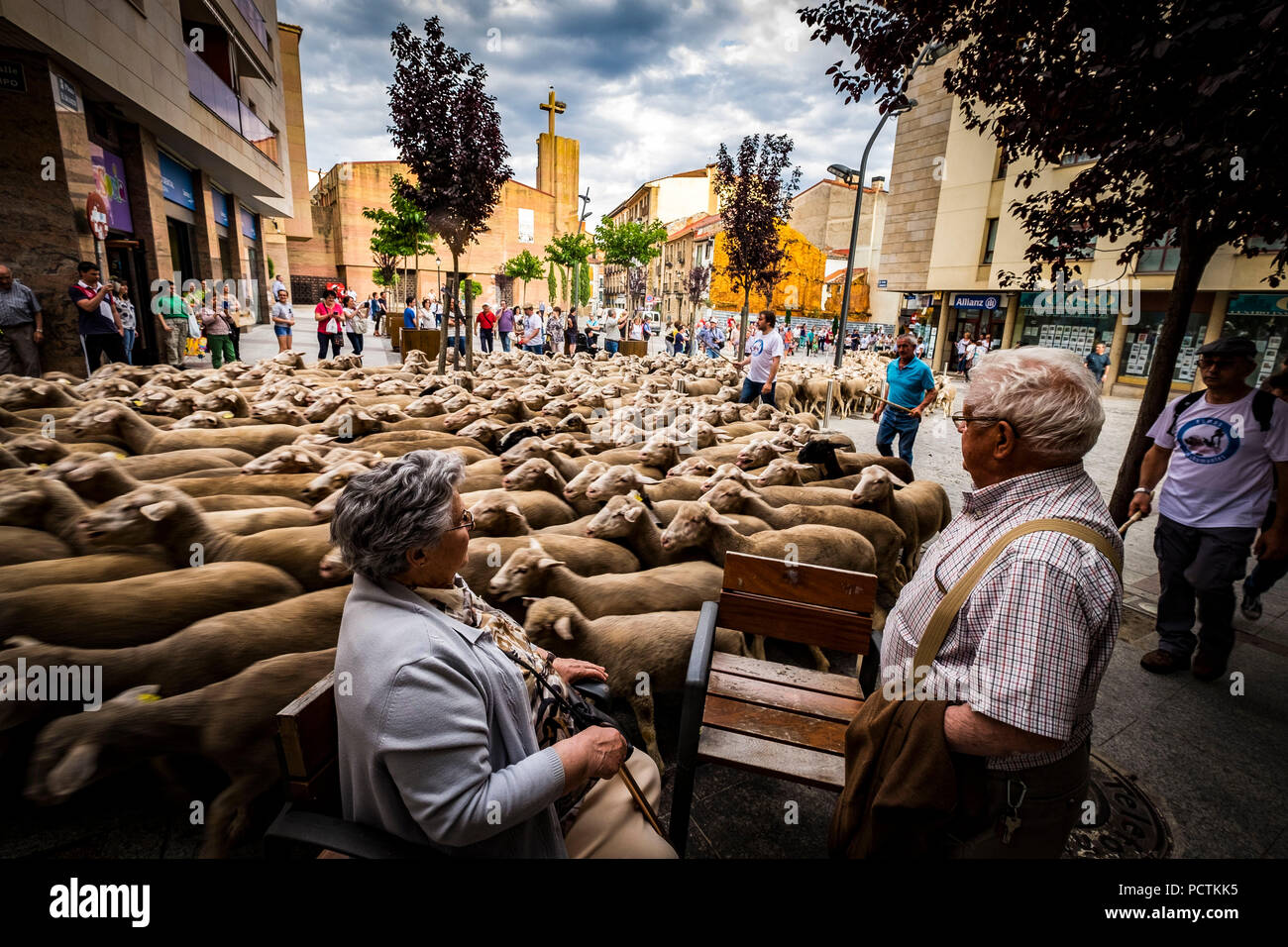 Soria, Spagna - Giugno 8, 2017, sentieri della transumanza con le ultime persone che si dedicano a questo lavoro in Spagna attraverso la regione di Soria. Foto Stock