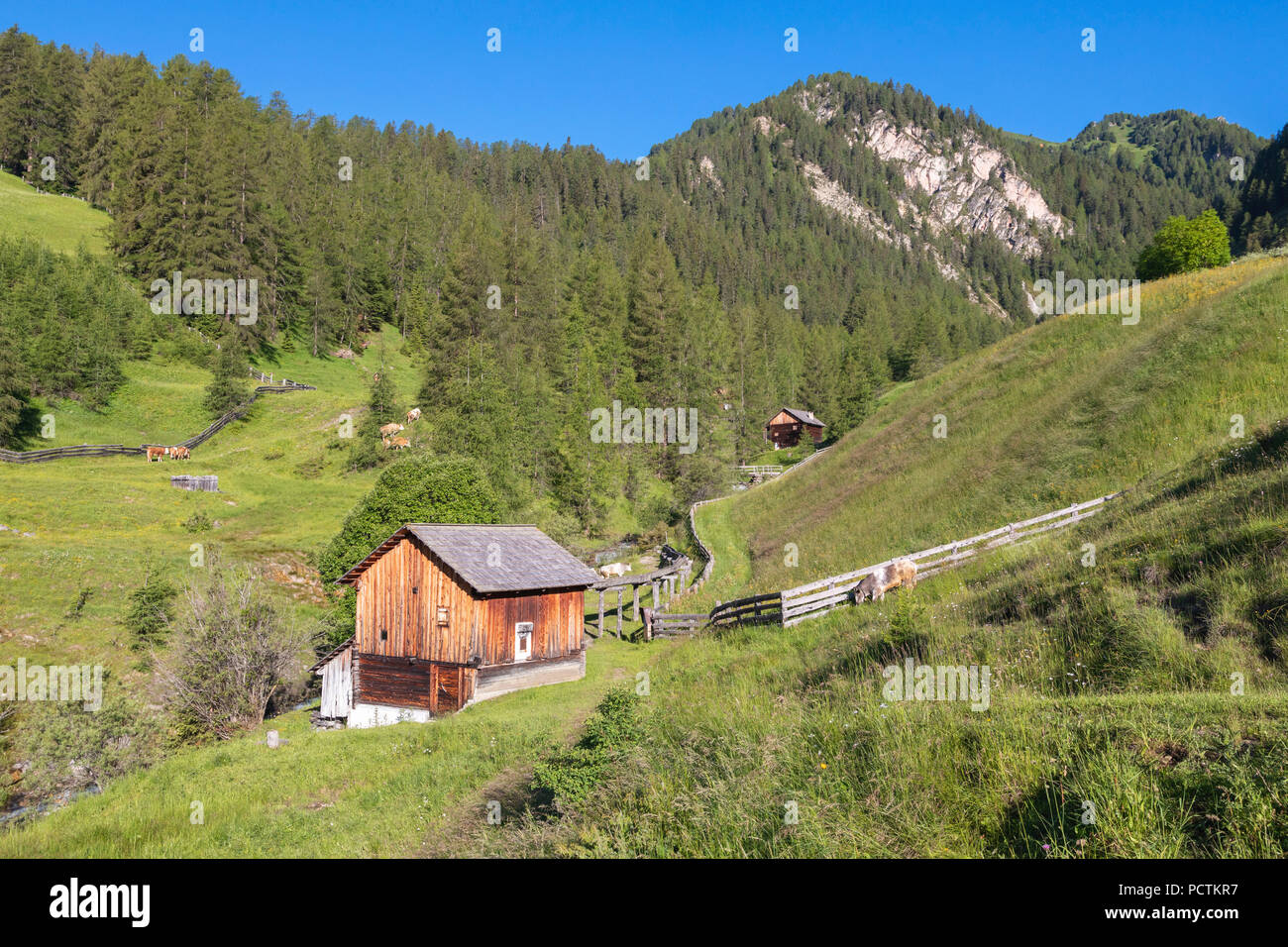 Valle dei Mulini, Puez-Geisler Natura Park, Lungiarü / Longiarù, San Martin de Tor, Bolzano, Alto Adige, Italia Foto Stock