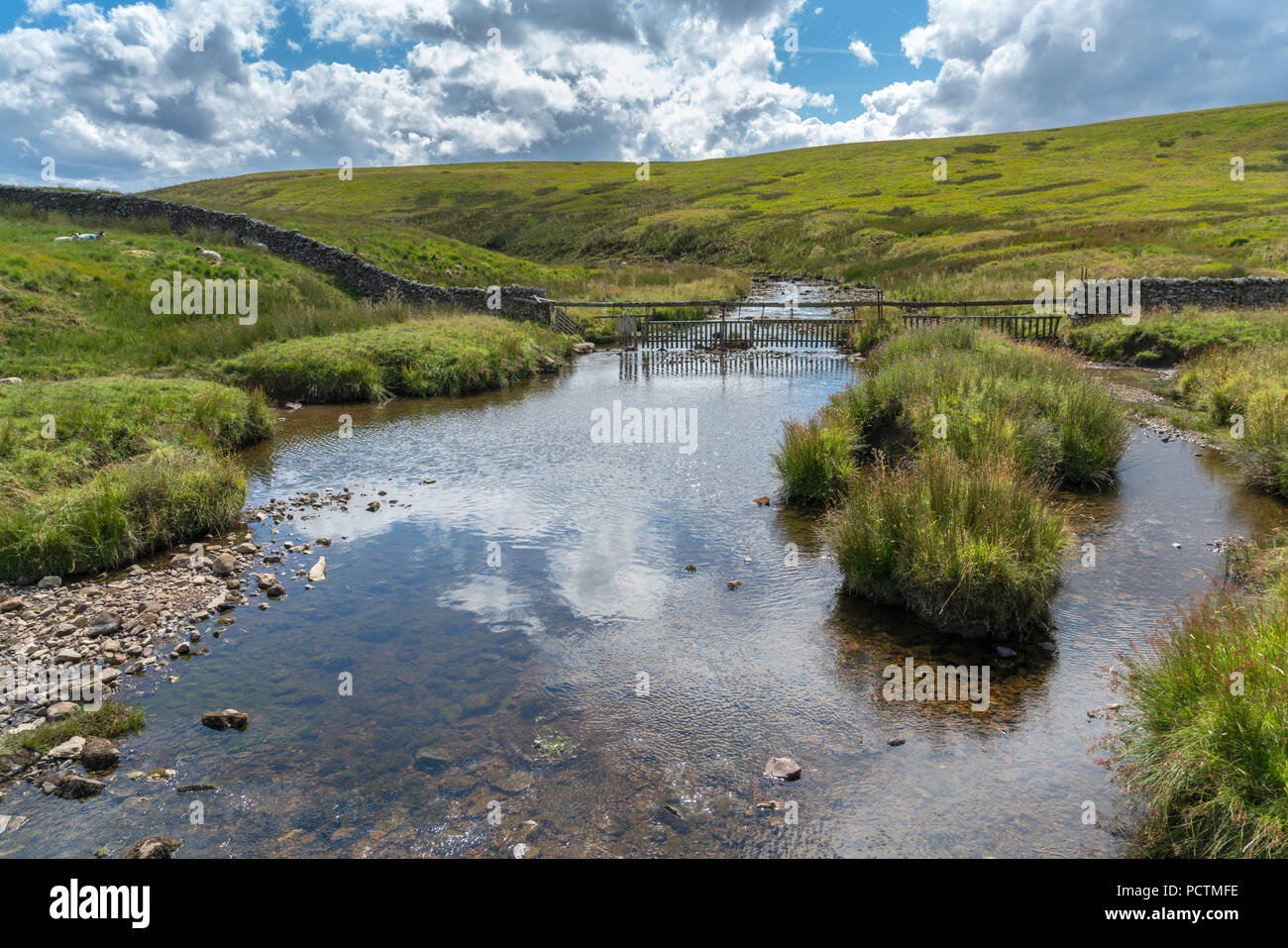 Vista lungo il fiume Twiss vicino Ingleton nello Yorkshire Foto Stock