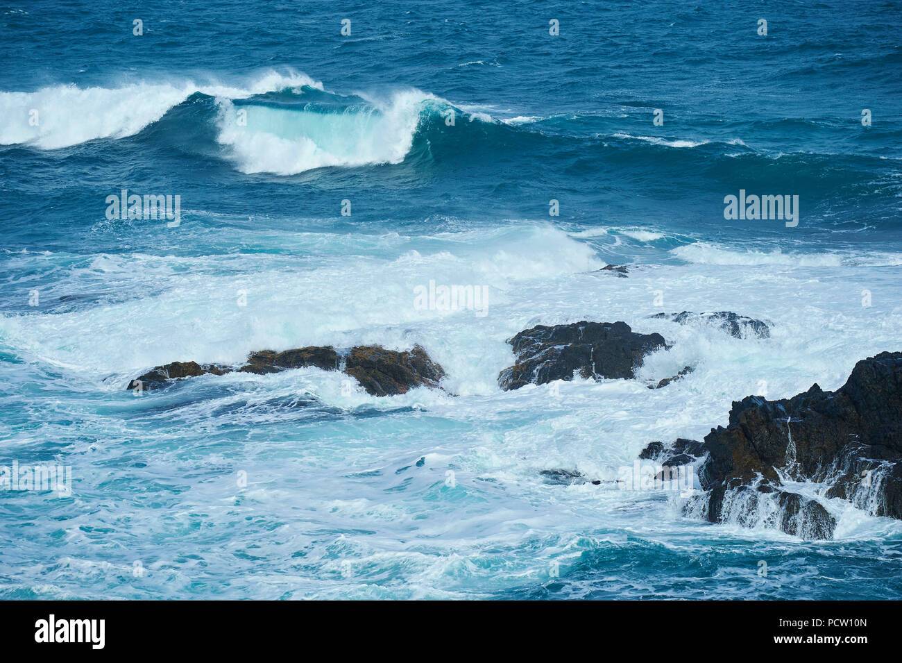 Paesaggio (i Nobbies), in primavera sulla pista di Phillip Island, Melbourne, Victoria, Australia, Oceania Foto Stock