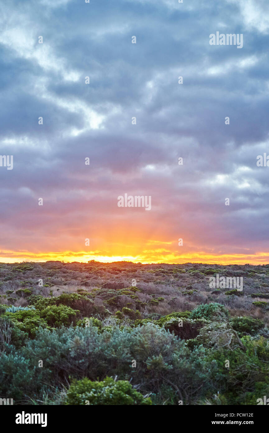 Sunrise a dodici apostoli, Great Ocean Road, Parco Nazionale di Port Campbell, Victoria, Australia, Oceania Foto Stock