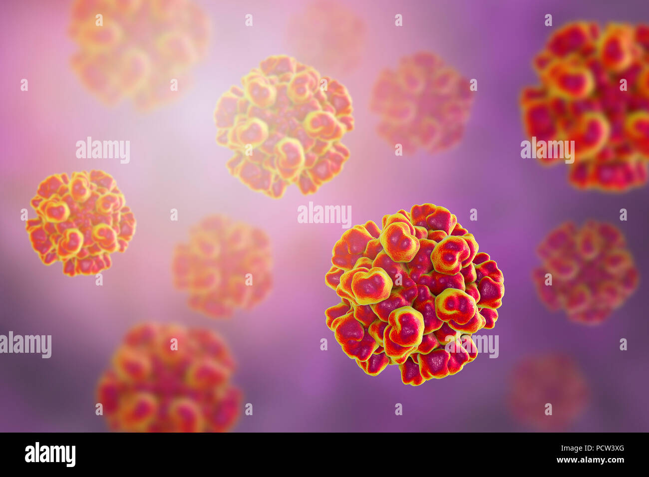 Epatite e virus hev immagini e fotografie stock ad alta risoluzione - Alamy