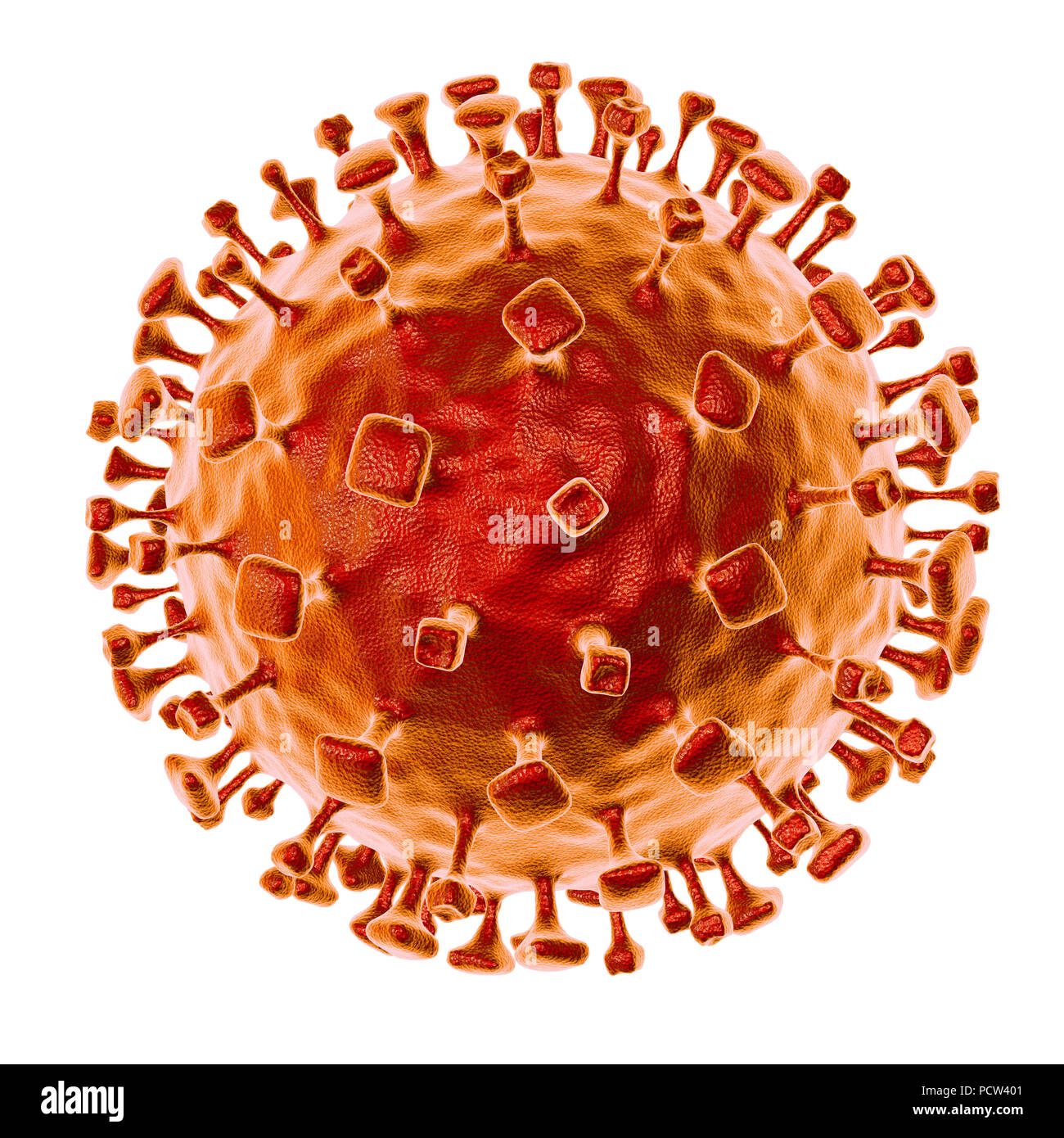 Nipah particella di virus, illustrazione del computer. Nipah virus zoonotici è (trasmesse agli esseri umani da animali) ed è stato trovato per primo in Malaysia e a Singapore in persone che avevano stretto contatto con suini. Esso è stato inizialmente isolato nel 1999 all'esame di campioni provenienti da un focolaio di encefalite e delle malattie respiratorie tra uomini adulti in quei due paesi. Foto Stock