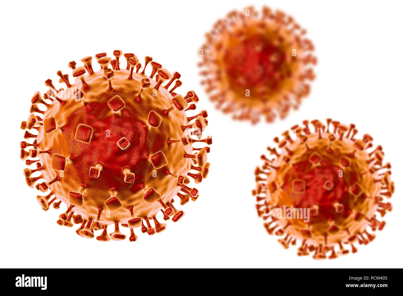 Nipah particelle di virus, illustrazione del computer. Nipah virus zoonotici è (trasmesse agli esseri umani da animali) ed è stato trovato per primo in Malaysia e a Singapore in persone che avevano stretto contatto con suini. Esso è stato inizialmente isolato nel 1999 all'esame di campioni provenienti da un focolaio di encefalite e delle malattie respiratorie tra uomini adulti in quei due paesi. Foto Stock