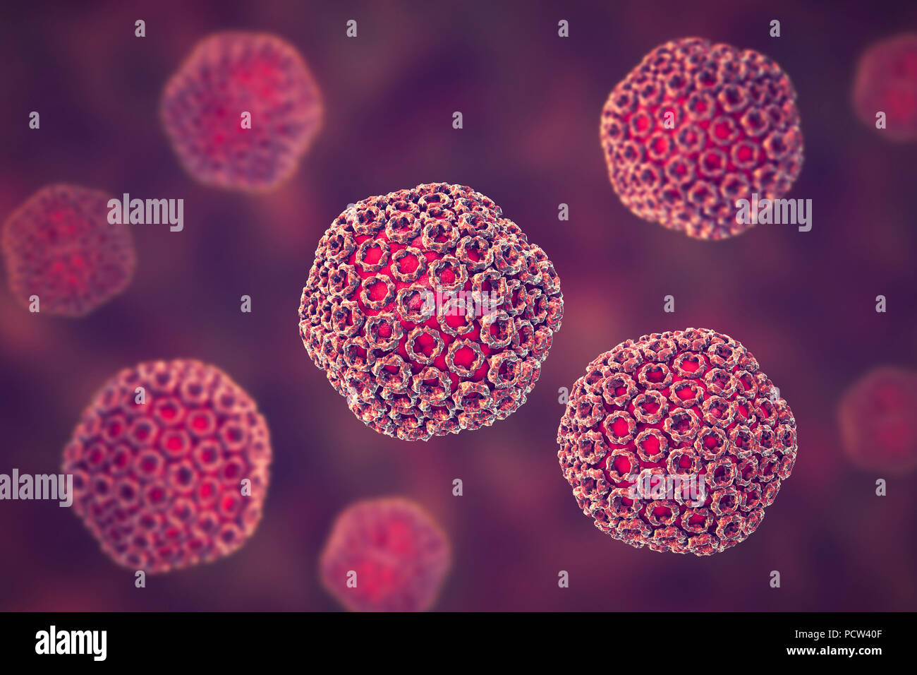 La febbre della valle del Rift, particelle di virus, illustrazione del computer. Questa particella di virus consiste di un RNA (acido ribonucleico) genoma racchiuso in un capside proteico, che è a sua volta circondato da un inviluppo di glicoproteina. Febbre della valle del Rift si verifica in Africa e di infettare gli esseri umani, bovini, pecore, roditori e altre specie. Esso è trasmesso da insetti, soprattutto di zanzare e provoca brividi, febbre, mal di testa e congiunte e dolore muscolare. Raramente è fatale, ma può causare emorragie retiniche che può portare alla compromissione. Foto Stock