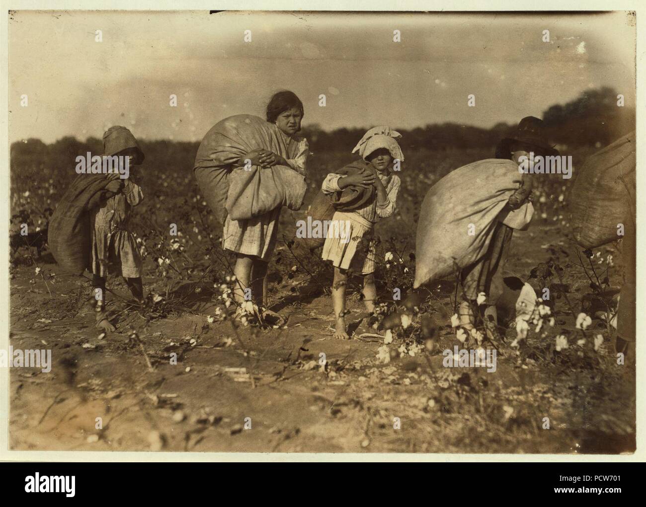 Tutti i bambini di cinque anni sei anni, sette anni, nove anni e due un po' più vecchio, sono stati la raccolta del cotone sul H.M. Lane's farm campane, Tex. Un solo adulto, una zia è stata raccolta. Padre era Foto Stock