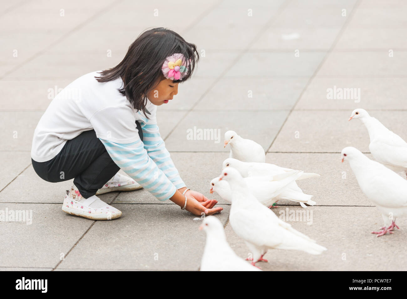 Wuxi, Cina - 16 Ottobre 2014: Adulti, bambini bianco di alimentazione piccioni o colombi. Belli uccelli seduti sulle braccia umane con le loro ali bianche e diffusione. Foto Stock